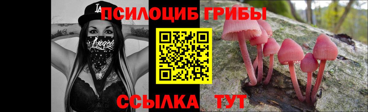 Галлюциногенные грибы мухоморы Чистополь